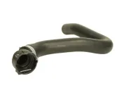 Kühlerschlauch unten THERMOTEC DWF061TT