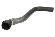 Kühlerschlauch unten THERMOTEC DWF064TT