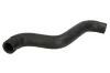 Kühlerschlauch oben THERMOTEC DWF079TT