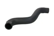 Kühlerschlauch unten THERMOTEC DWF082TT