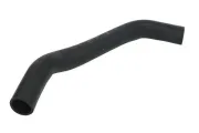 Kühlerschlauch unten THERMOTEC DWF088TT