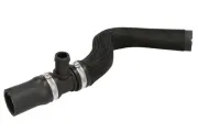 Kühlerschlauch unten THERMOTEC DWF148TT