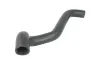K&uuml;hlerschlauch oben THERMOTEC DWF213TT