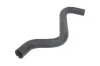 K&uuml;hlerschlauch oben THERMOTEC DWF241TT