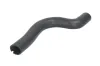 Kühlerschlauch oben THERMOTEC DWF242TT