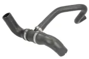 Kühlerschlauch THERMOTEC DWF296TT