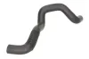 Kühlerschlauch links oben THERMOTEC DWG039TT