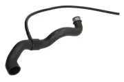 Kühlerschlauch oben THERMOTEC DWM002TT
