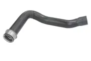 Kühlerschlauch oben THERMOTEC DWM004TT