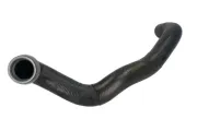 Kühlerschlauch links oben THERMOTEC DWM009TT