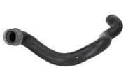 Kühlerschlauch oben THERMOTEC DWM011TT