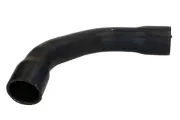 Kühlerschlauch unten THERMOTEC DWM035TT