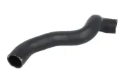 Kühlerschlauch oben THERMOTEC DWM043TT