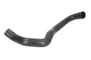 Kühlerschlauch unten THERMOTEC DWM063TT