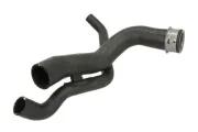 Kühlerschlauch unten THERMOTEC DWM083TT