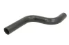 Kühlerschlauch oben THERMOTEC DWM098TT