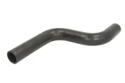 Kühlerschlauch oben THERMOTEC DWM098TT