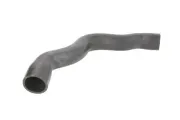 Kühlerschlauch oben THERMOTEC DWM103TT