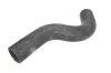 Kühlerschlauch oben THERMOTEC DWM105TT