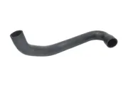 Kühlerschlauch THERMOTEC DWM123TT