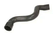 Kühlerschlauch THERMOTEC DWM161TT