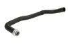 Kühlerschlauch unten THERMOTEC DWP037TT