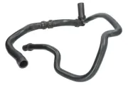 Kühlerschlauch unten THERMOTEC DWP047TT