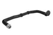 Kühlerschlauch unten THERMOTEC DWP068TT