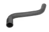 Kühlerschlauch THERMOTEC DWP137TT