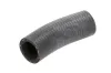 K&uuml;hlerschlauch THERMOTEC DWP146TT