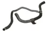 K&uuml;hlerschlauch unten THERMOTEC DWR086TT