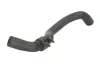 Kühlerschlauch oben THERMOTEC DWR187TT