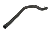 Kühlerschlauch unten THERMOTEC DWV004TT