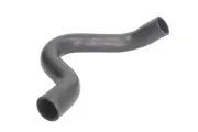 Kühlerschlauch oben THERMOTEC DWV023TT