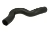 Kühlerschlauch oben THERMOTEC DWV048TT