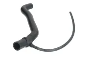 Kühlerschlauch oben THERMOTEC DWW135TT