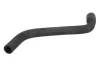 Kühlerschlauch THERMOTEC DWW363TT