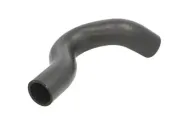 Kühlerschlauch oben THERMOTEC DWX029TT