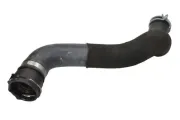 Kühlerschlauch unten THERMOTEC DWX060TT