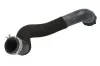 Kühlerschlauch unten THERMOTEC DWX060TT Bild Kühlerschlauch unten THERMOTEC DWX060TT
