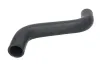 K&uuml;hlerschlauch oben THERMOTEC DWX082TT