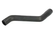 Kühlerschlauch unten THERMOTEC DWX136TT