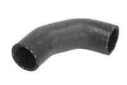 Kühlerschlauch unten THERMOTEC DWX138TT