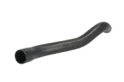Kühlerschlauch unten THERMOTEC DWX139TT