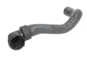 Kühlerschlauch unten THERMOTEC DWX151TT