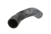 Kühlerschlauch oben THERMOTEC DWX164TT