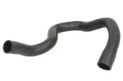 Kühlerschlauch oben THERMOTEC DWX196TT
