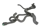 Kühlerschlauch THERMOTEC DWX217TT