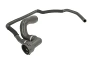 Kühlerschlauch THERMOTEC DWX229TT