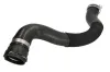 Kühlerschlauch THERMOTEC DWX249TT